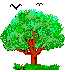 tree with birds